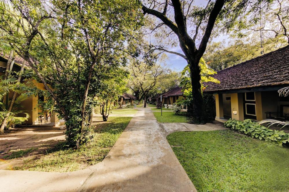 Habarana Village By Cinnamon 84969 — 5