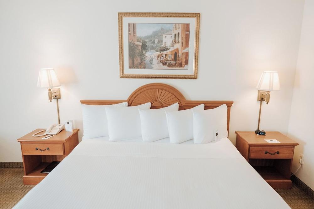 Ann Arbor Regent Hotel & Suites — 3