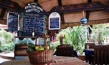 Napoleon Lagune 1131528 — 9