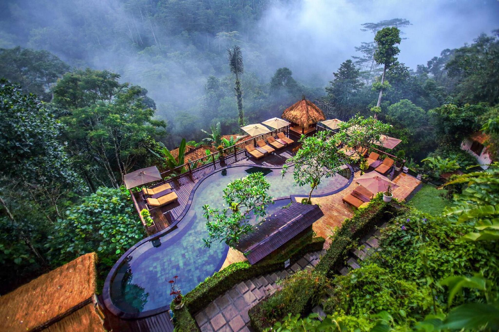 Nandini Jungle by Hanging Gardens 62664 — 7