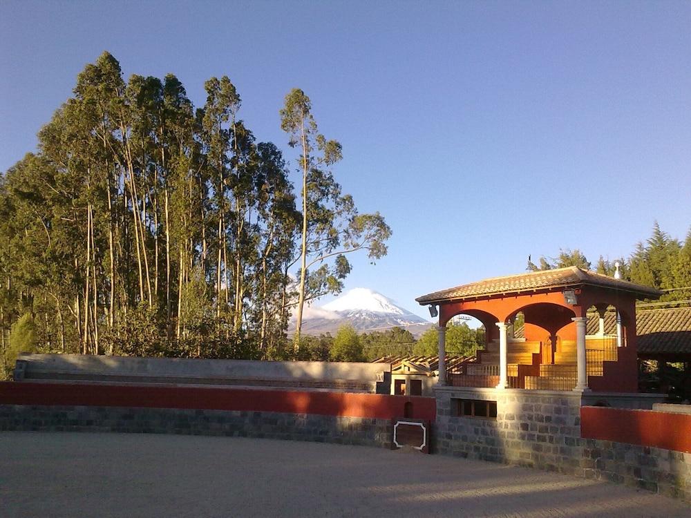 Hacienda Hato Verde 1131878 — 4