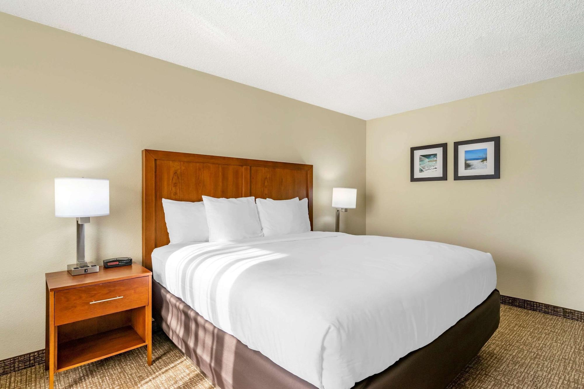 Comfort Inn & Suites St. Pete - Clearwater International Airport — 5