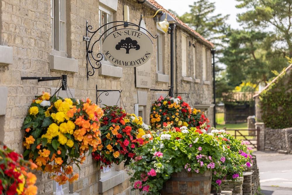 The Royal Oak Inn — 3