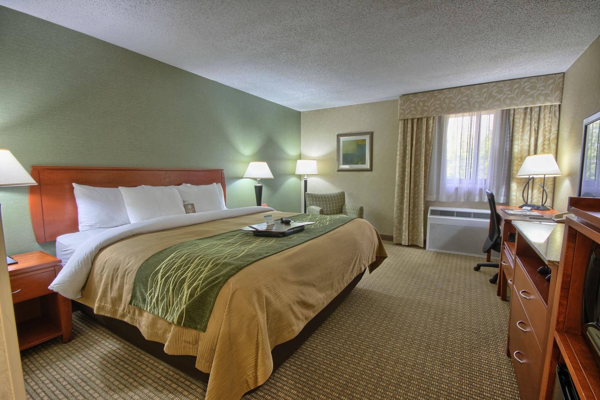 Comfort Inn Near Greenfield Village — 7
