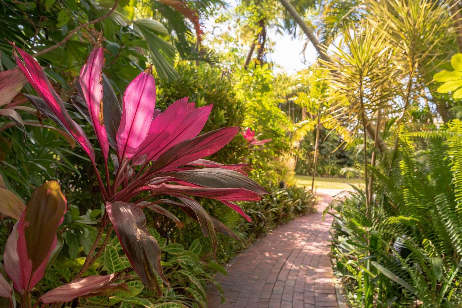 HILTON CAIRNS HOTEL — 8