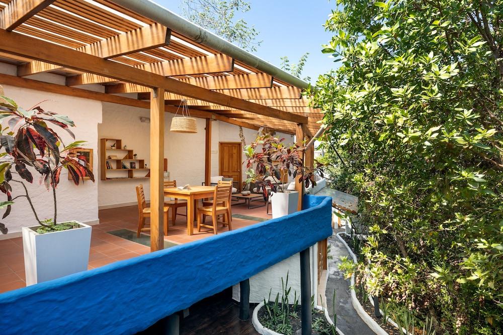 Red Mangrove Aventura Lodge 1147398 — 4