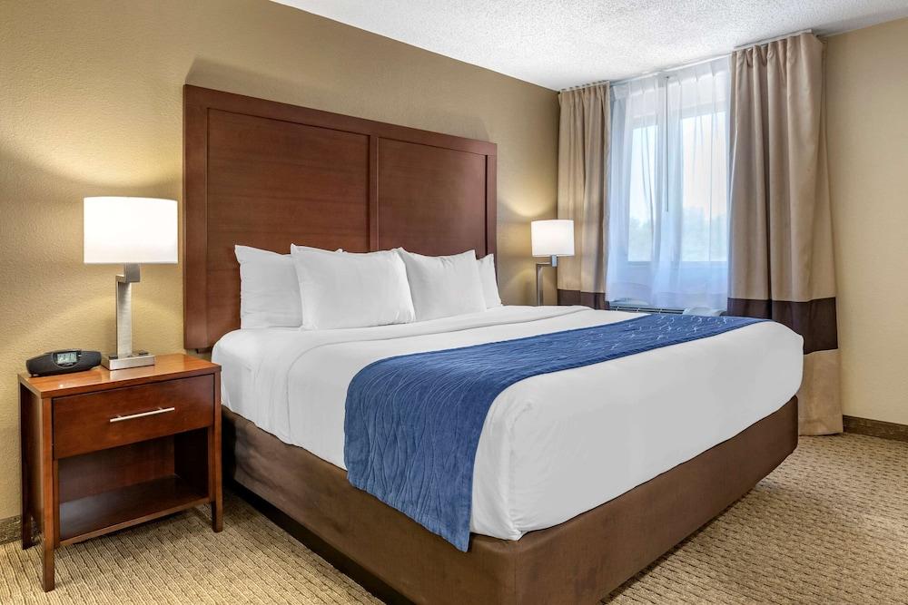 Comfort Inn Near Greenfield Village — 9