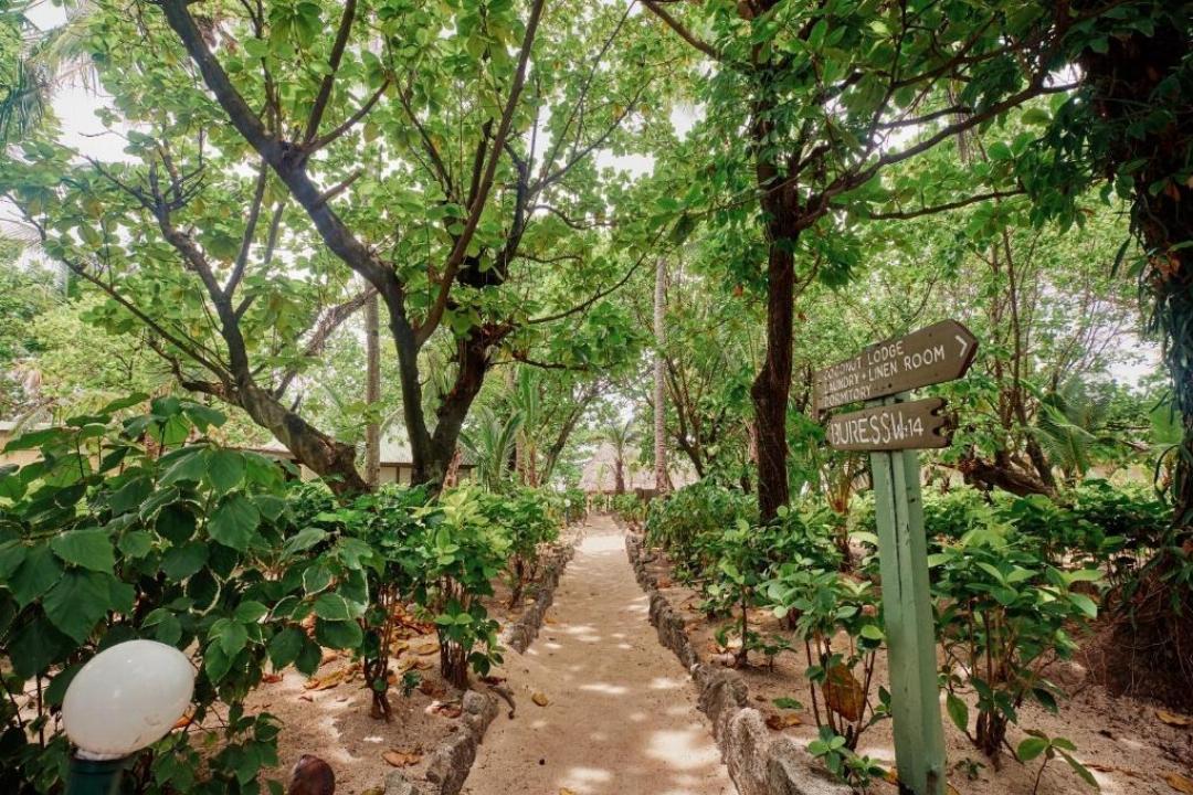Beachcomber Island Resort 1035548 — 3