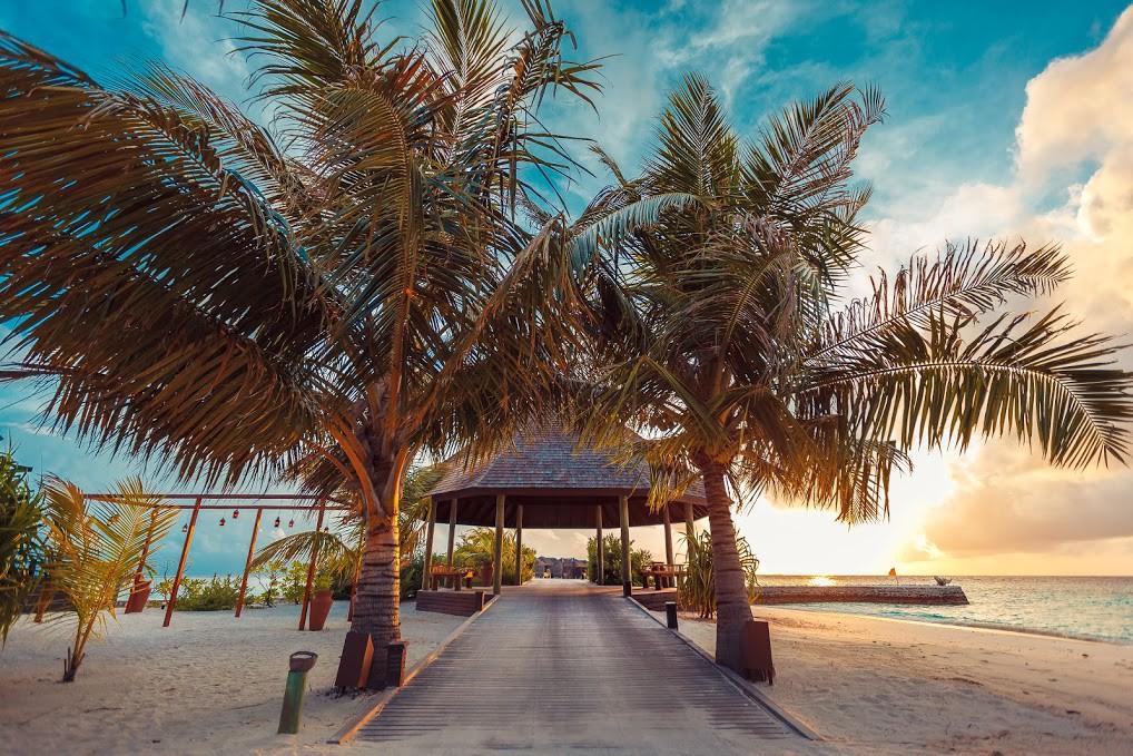 Lily Beach Resort & Spa - All Inclusive 87648 — 6