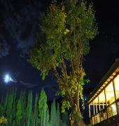 Serena Shigar Fort Residence 994235 — 5