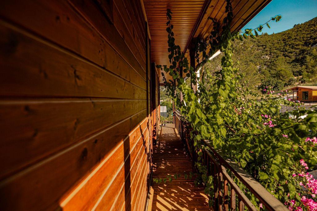 7 Green Adrasan Hotel — 5