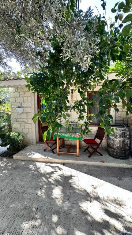 Alaçatı Kavalalı Otel — 10