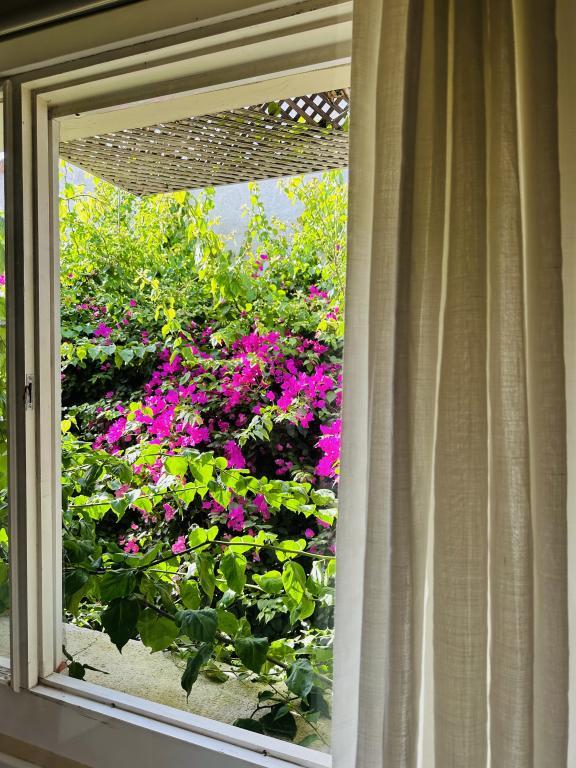 Alaca Butik Otel Alaçatı — 9