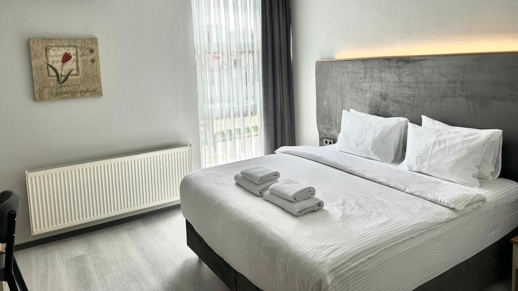 Altınova Hotel Sakarya — 3