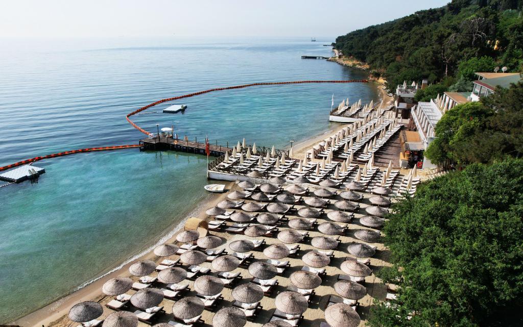Ank’Ada Ayanikola (12+ Adult Only) — 4