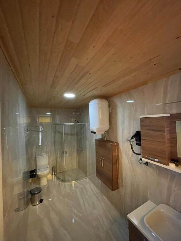 Arhavi Pınar Kır Evi — 10