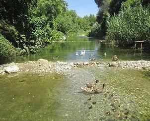 Arikanda River Garden — 10