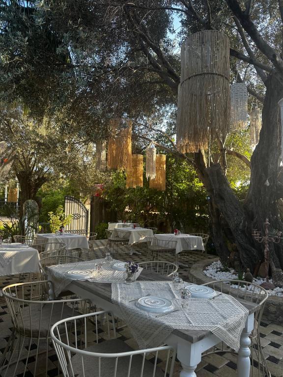 Boreas Otel Alaçatı