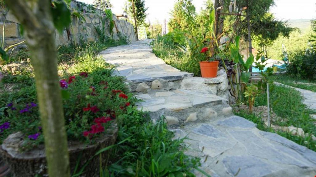 Castle Nolana Hotel & Horse Club Ağva — 4