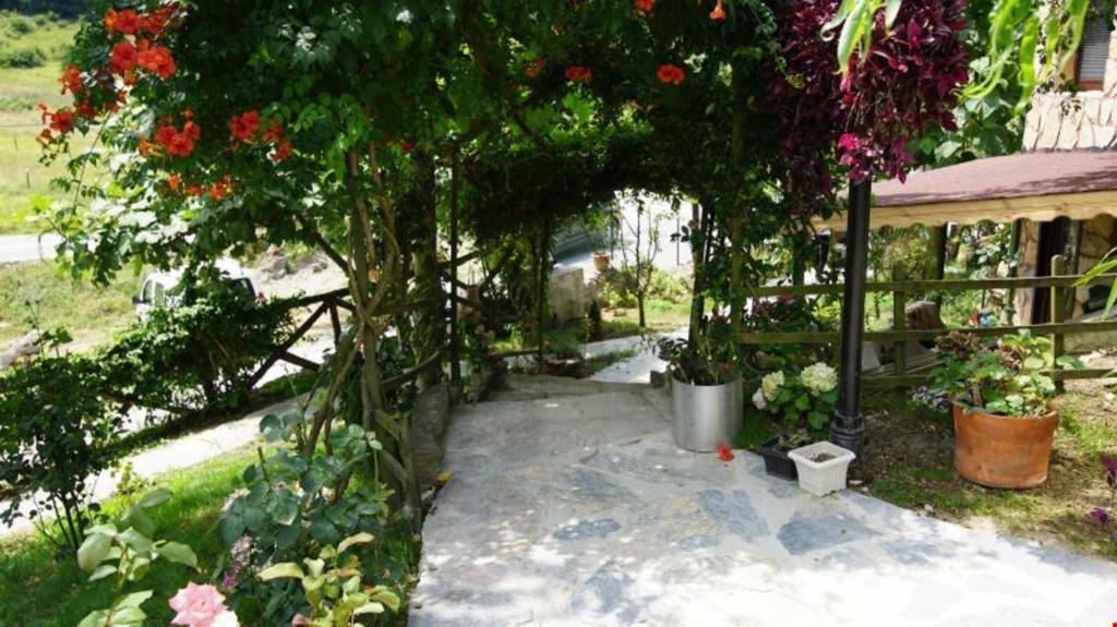 Castle Nolana Hotel & Horse Club Ağva — 6