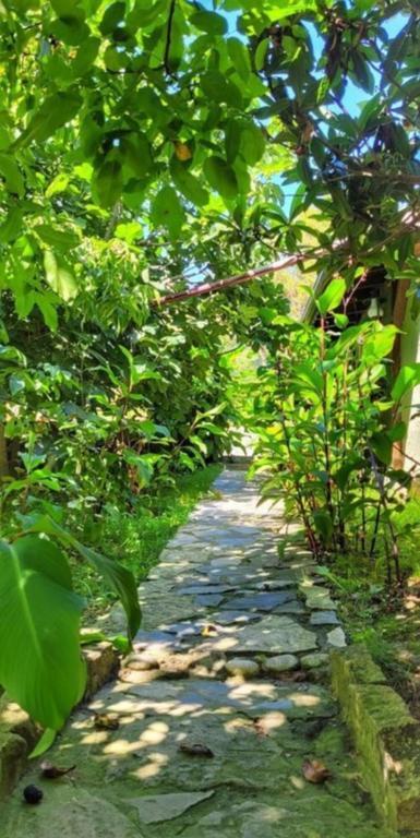 Castle Nolana Hotel & Horse Club Ağva — 10
