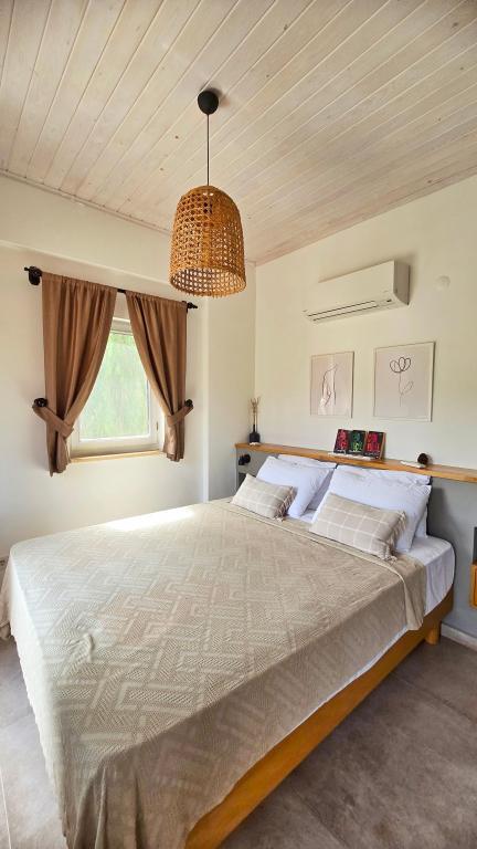 Feli Eski Datça (Adult Only +9) — 8