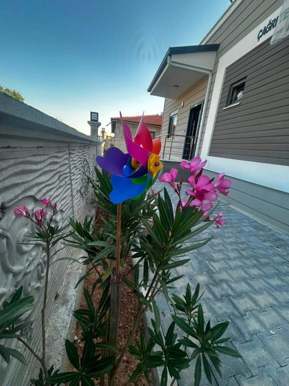 Gazlıgöl Çağrı Termal Villa — 3
