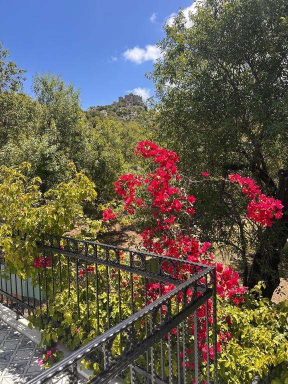 Karia Konuk Evi — 5