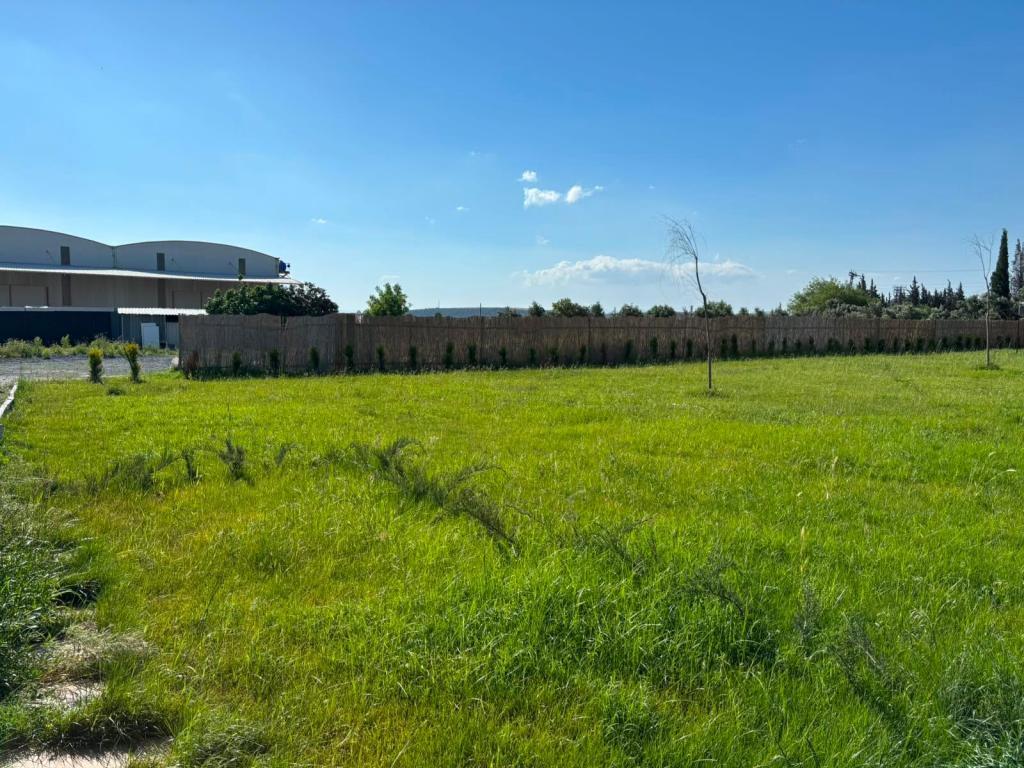 Motto Wood Bungalov Hotel — 5