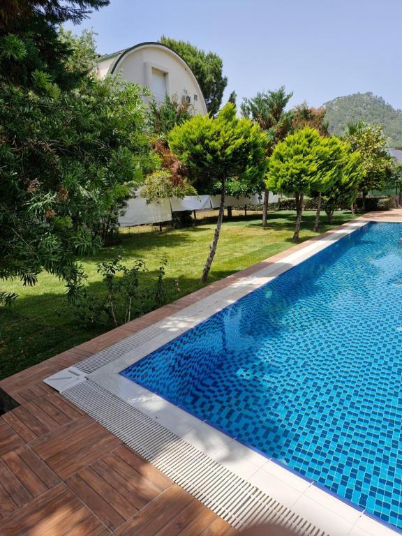 Adens Villalari — 7