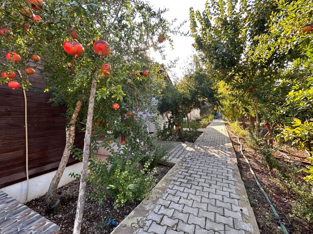 Olimpos Vadi Houses — 5