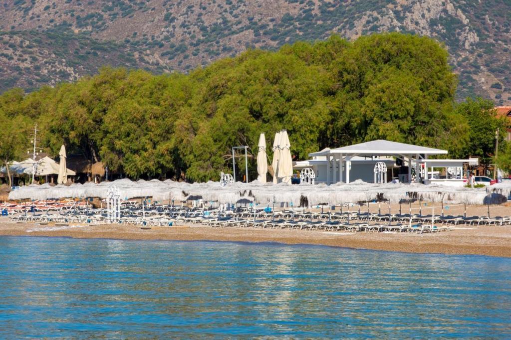 Mavi Beyaz Otel Palamutbükü — 5
