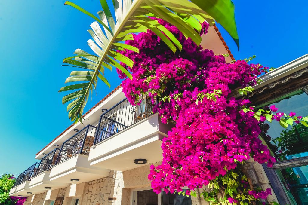 Rüzgar Gülü Butik Otel Alaçatı — 10