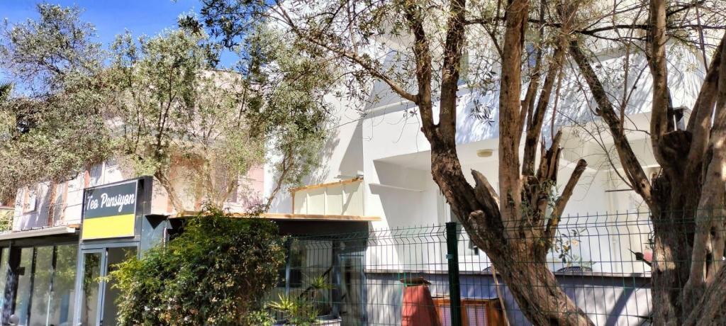 Sığacık Teo Pansiyon — 3