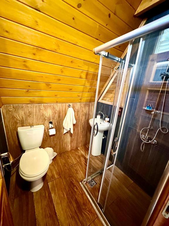 Sapanca Köy Bungalov — 8