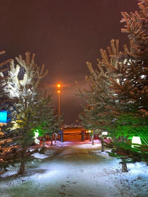 Snow Life Hotel Sarıkamış — 5