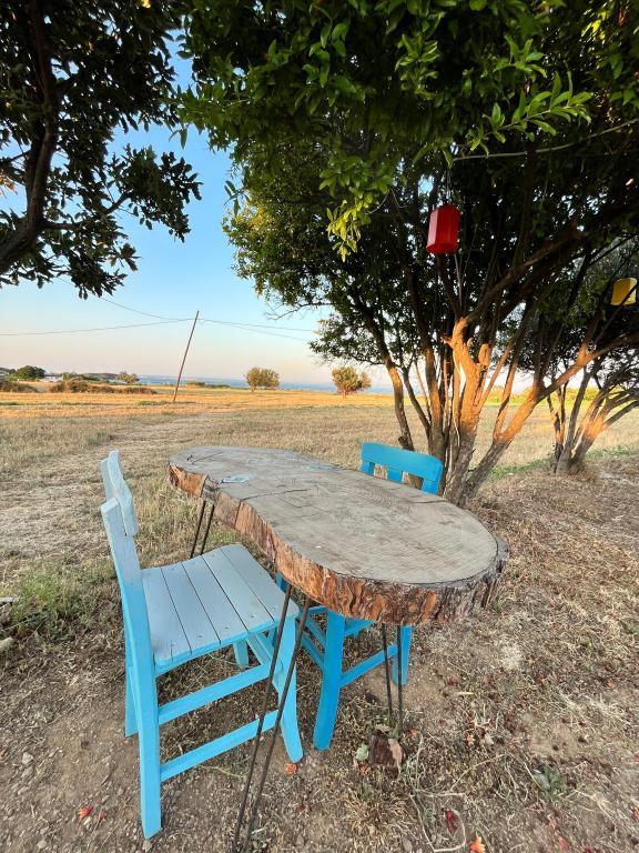 Tenedos Tatil Odaları — 5