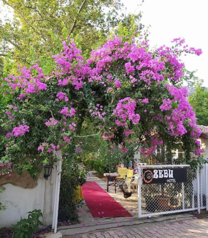 Zebu Hotel Adrasan