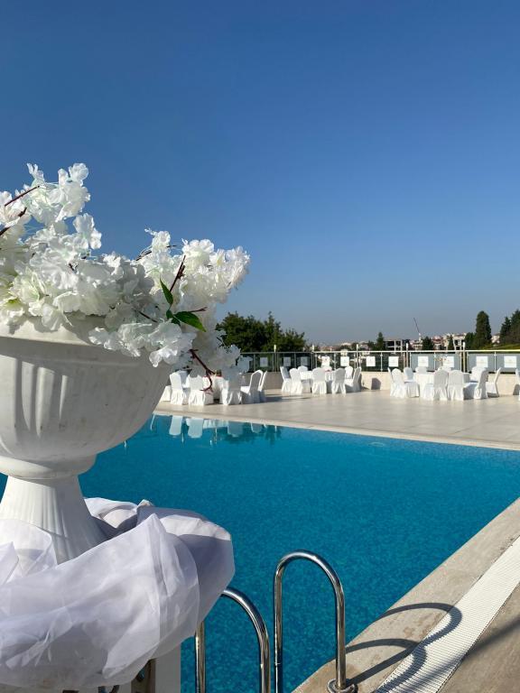 Double Royal Hotel — 7
