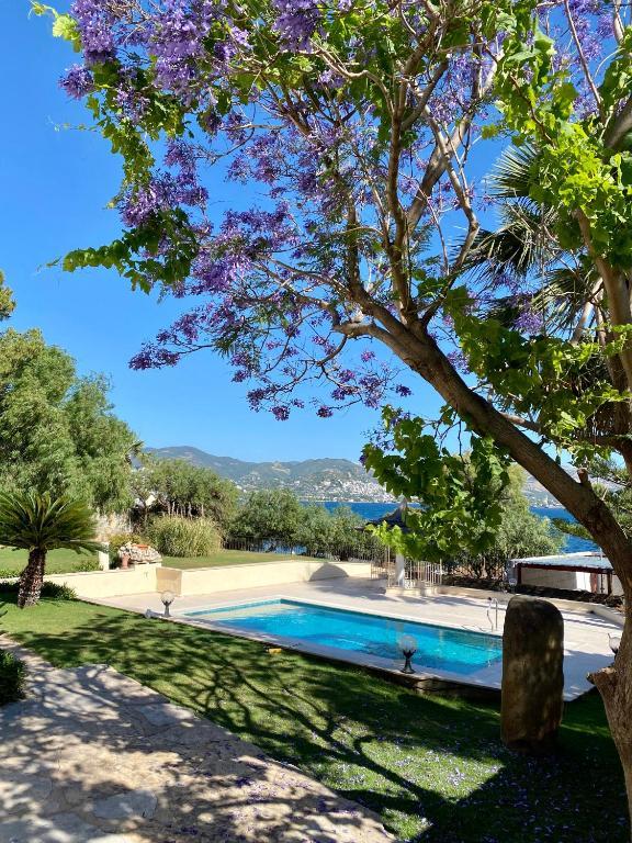 The Farrys Hotel and Beach Club — 4