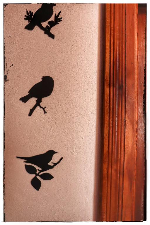 Ateşin Konuk Evi — 3