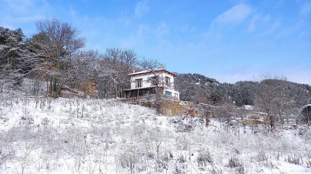 Torrhebia Dağ Evi — 3