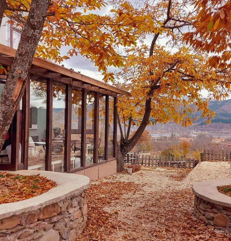 Torrhebia Dağ Evi — 7