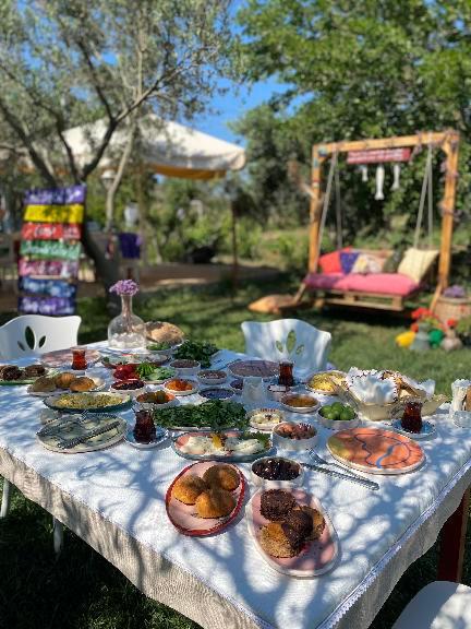 Irmak Bağ Evi — 10