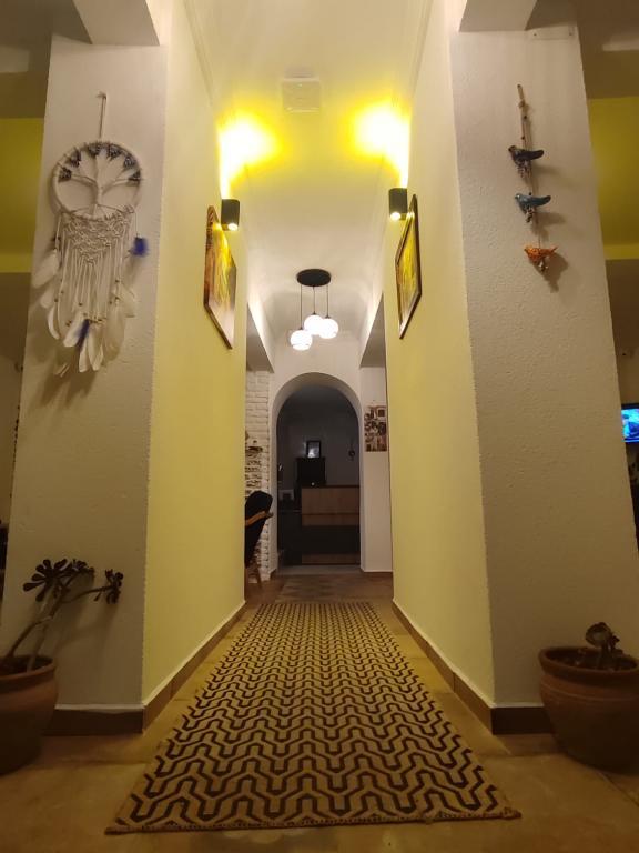 The Professors Hotel — 5