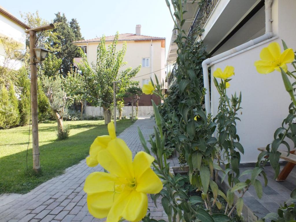 Güneş Termal Apart Otel — 8