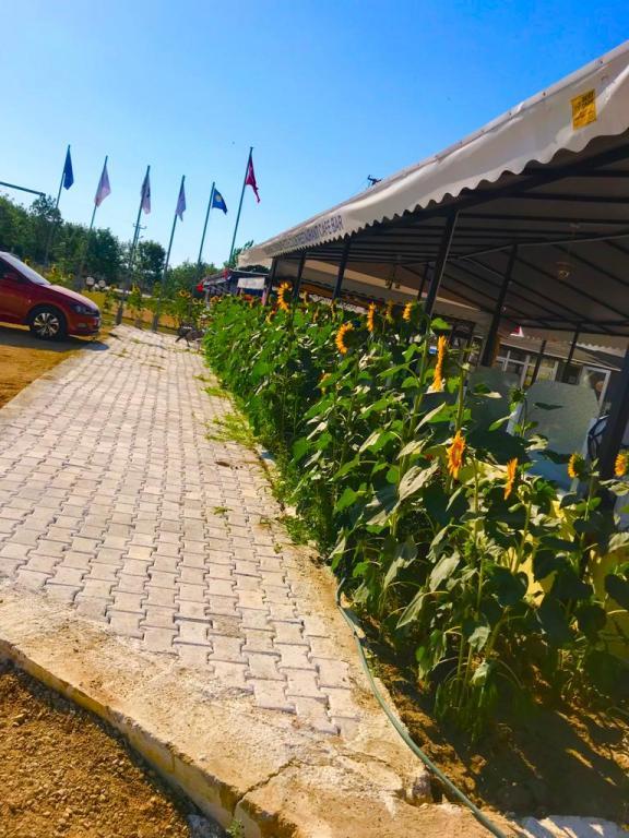 Erikli Sunshine Holiday Apart Hotel — 3