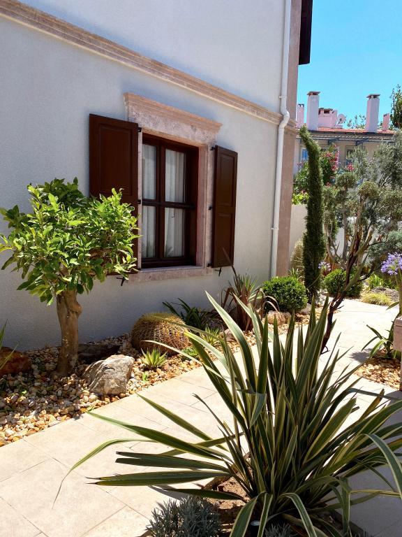 Min Ayvalık (Adults only +12) — 5
