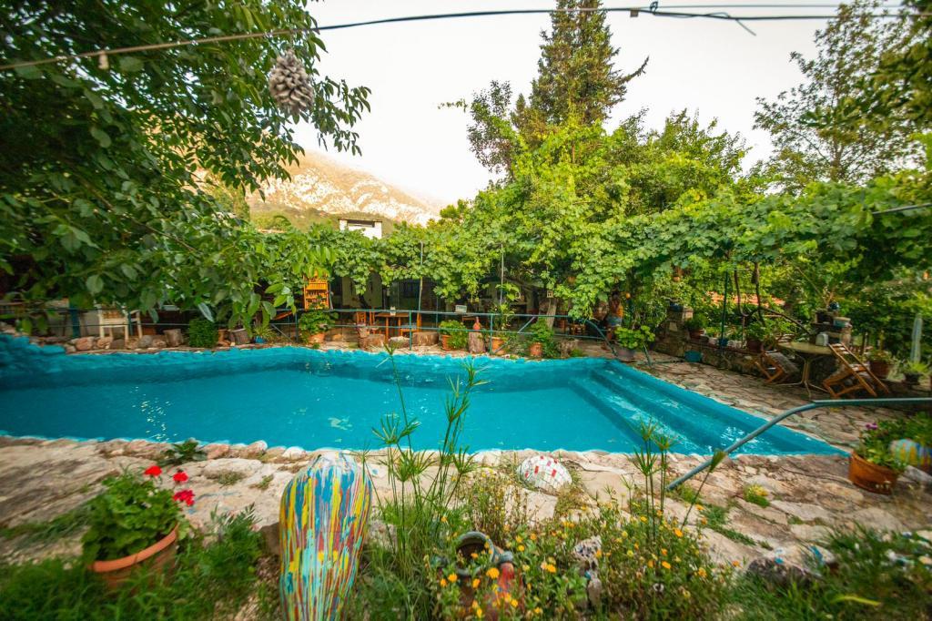 Arykandos Dağ Evi ve Bungalows — 3