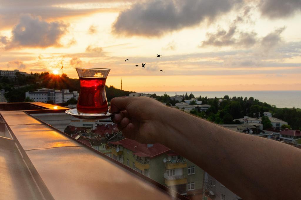 White House Otel Trabzon — 9